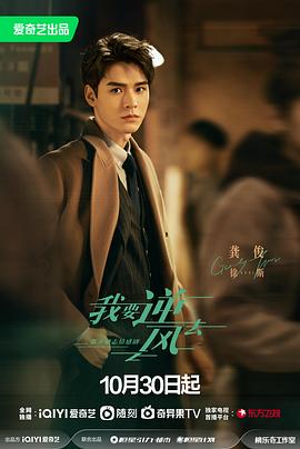 归途如虹大结局海报剧照