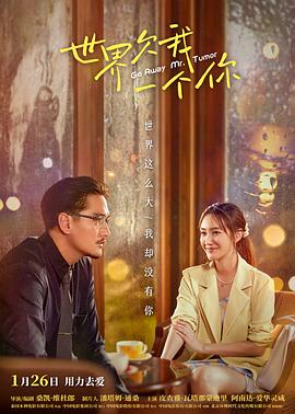 透明人无修版海报剧照